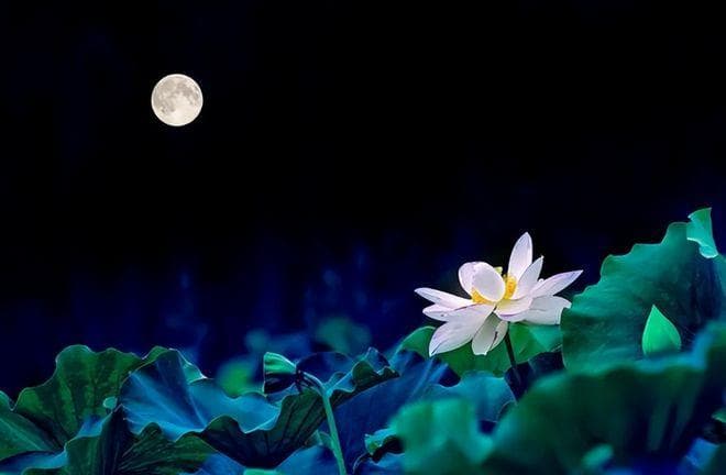 繁星点点的夏夜，宁静而神秘：12首古诗词里的夏夜之美