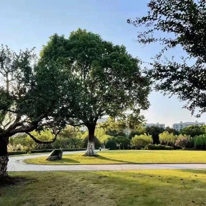 房租的会计分录详解：从预付账款到使用权资产