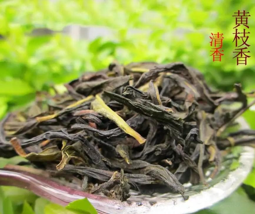 单丛茶十大香型，哪种才是你的最爱？