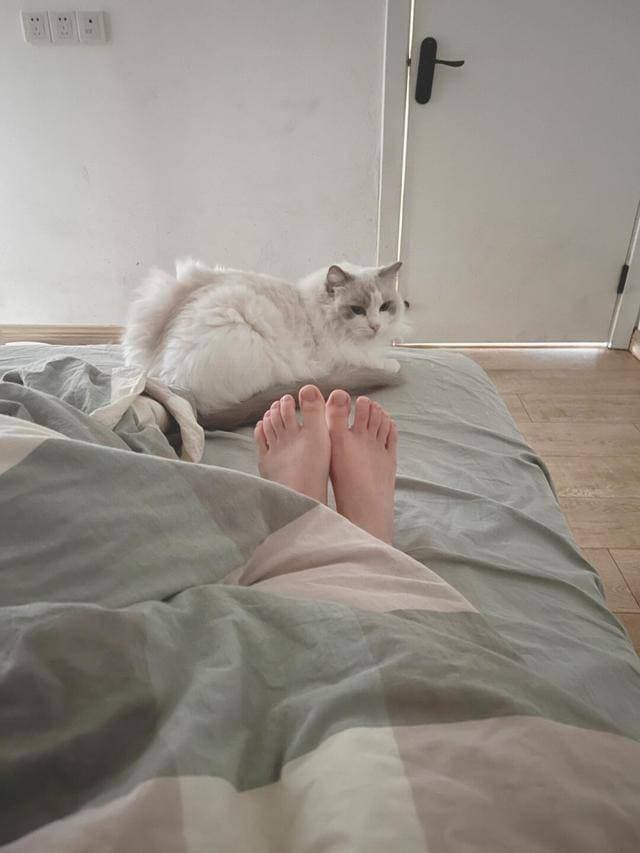 猫睡你脚边，不是粘人这么简单！真相扎心了