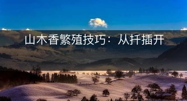 山木香繁殖技巧：从扦插开始，宝典详解