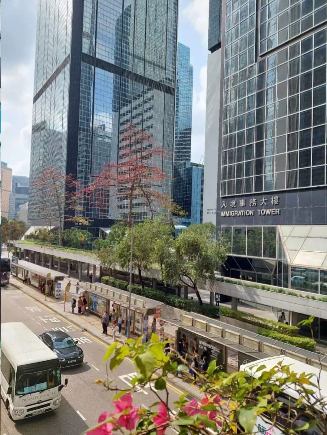 香港「新投资移民」半年引资逾173亿,3000万怎么投?