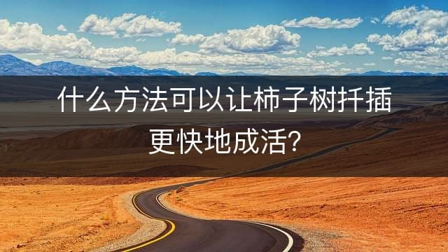 什么方法可以让柿子树扦插更快地成活？