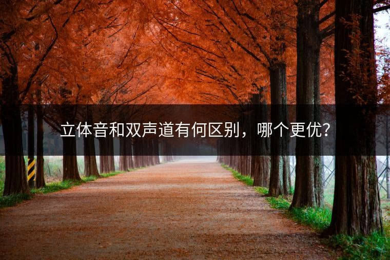 立体声和双声道有何区别？哪个更优？