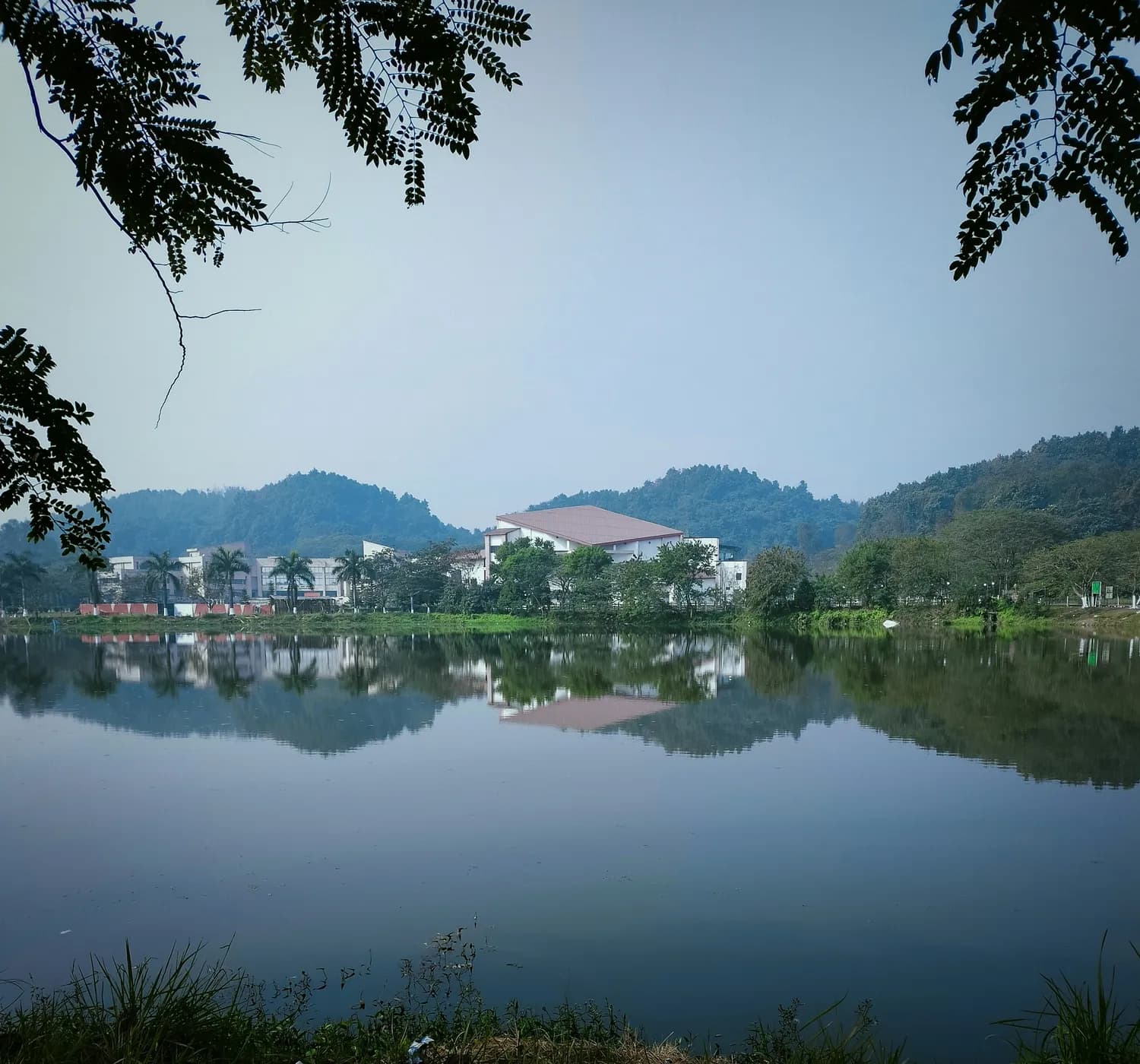厦门大学打卡攻略：芙蓉湖&芙蓉隧道必去！
