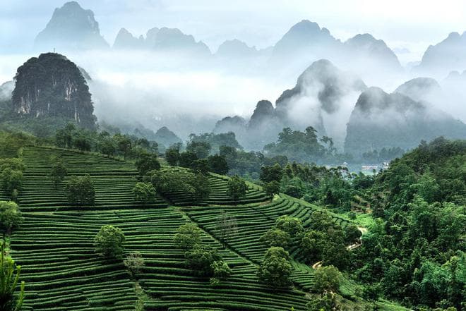 读书 | 开启“生态纪”，人类当立“天地之心”