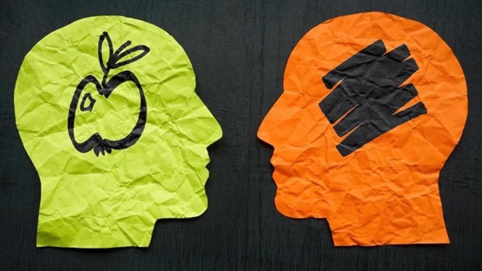 揭秘大脑中的视觉魔法：我们是如何在脑海中“看见”图像的？