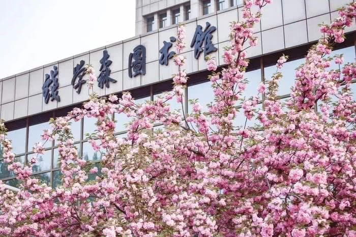 面对不确定，如何安放身心？