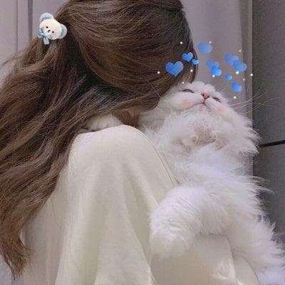 个人所得税就是契税吗