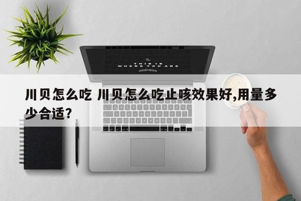 川贝怎么吃？多种食用方法及止咳效果详解