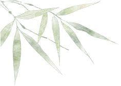 最有反差感的茶——鸭屎香