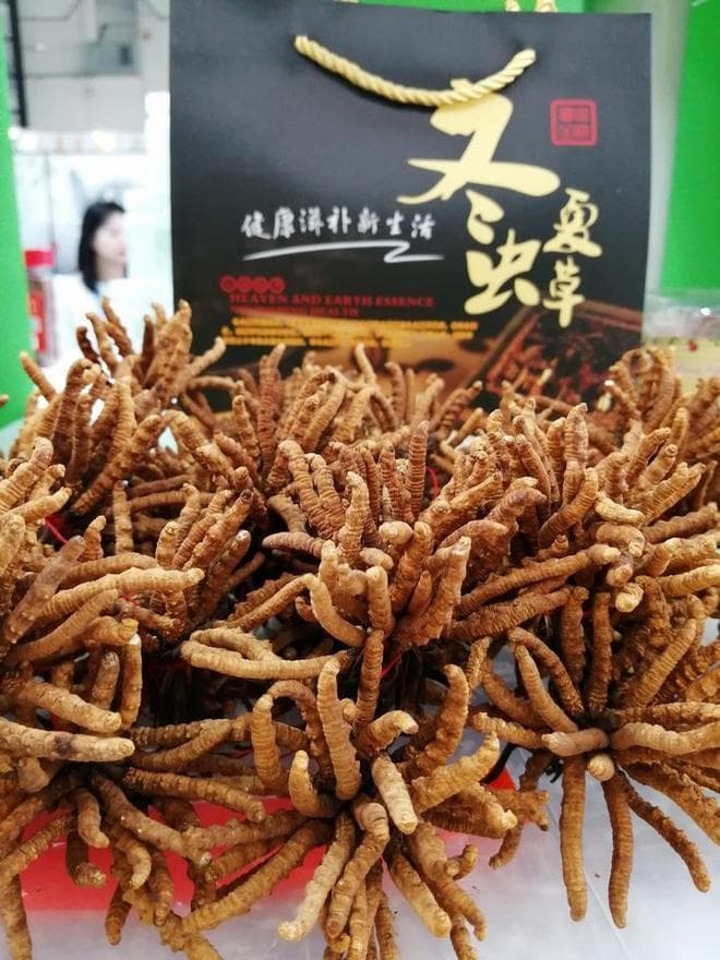 曾经风靡全国的“骗局”，推上神坛炒到数千万，如今白菜价没人要