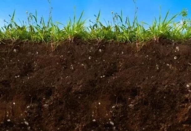 让土地肥沃的方法：从施肥到生物修复的全方位策略