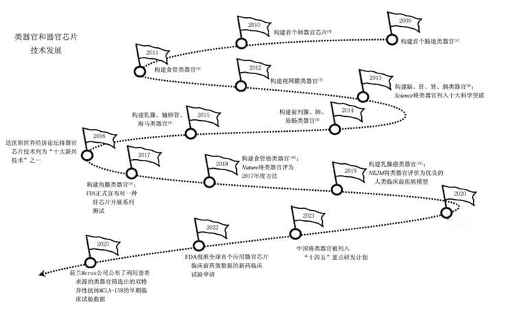 类器官和器官芯片在新药评价中的应用及国内外监管现状分析