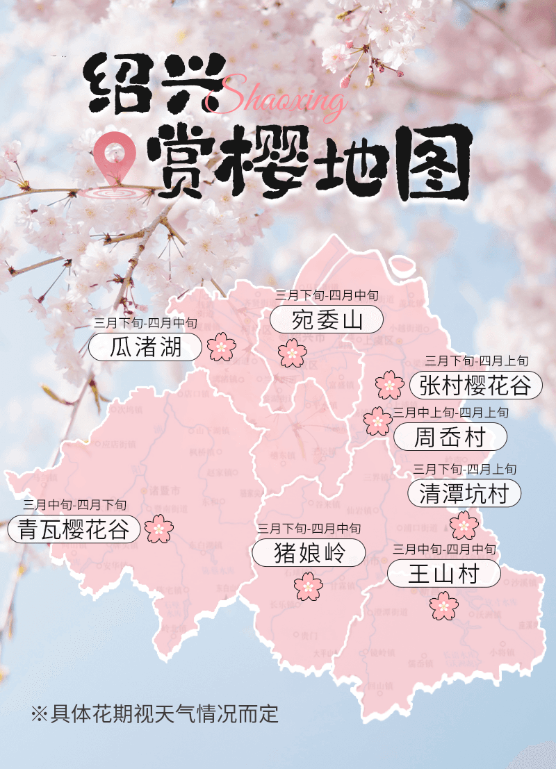 樱花点染江南的水乡旧梦，绍兴限时「赏樱地图」上线！