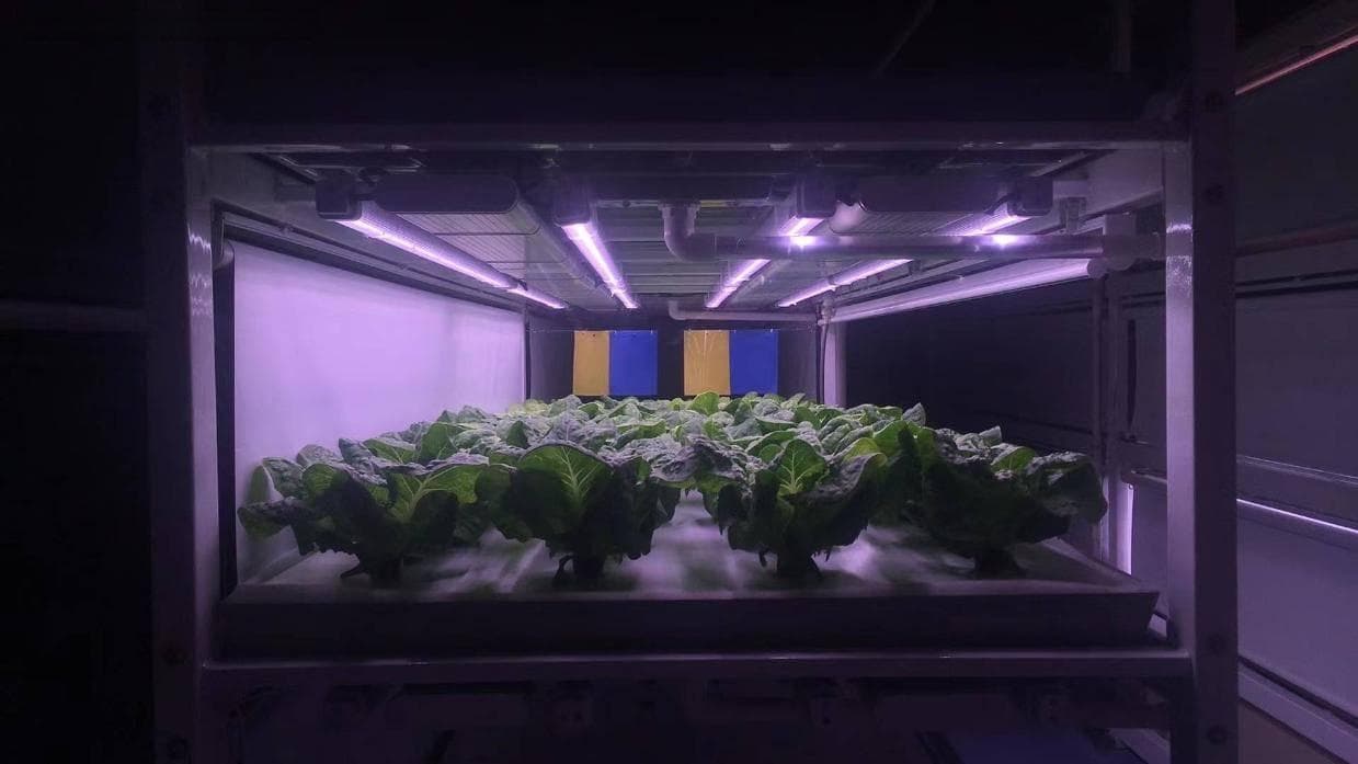 植物工厂中如何根据植物生长周期调整光配方