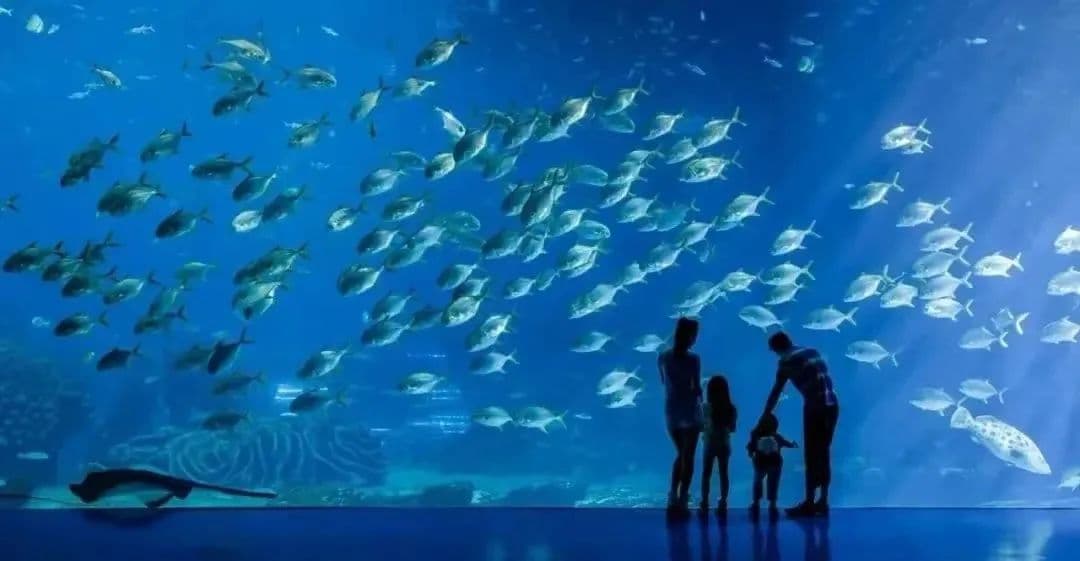 珠海篇 | 国庆亲子游去哪里？大脚丫小脚丫丈量每一寸土地