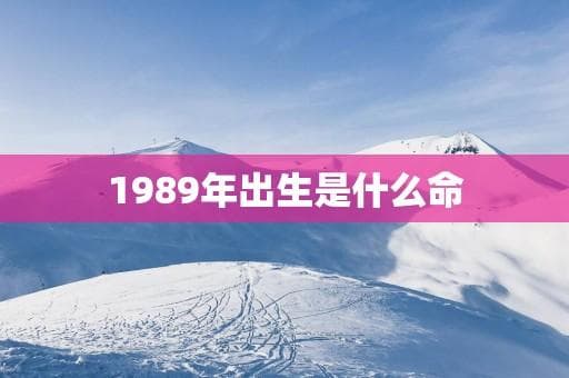 1989年出生的人：性格特点、职业发展与健康指南
