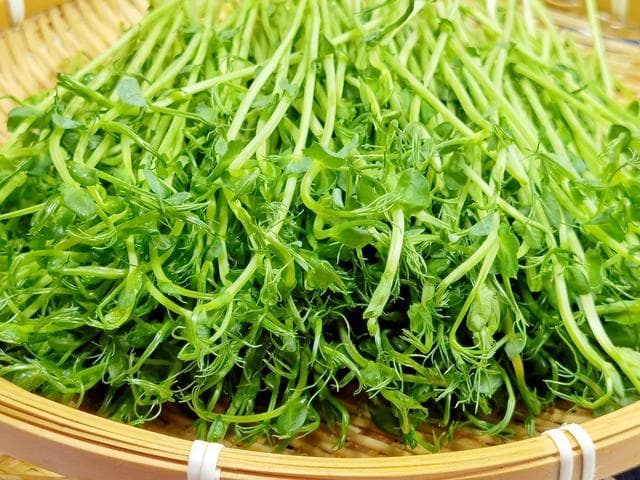 春分时节养生指南：吃三样、做三事、忌三事