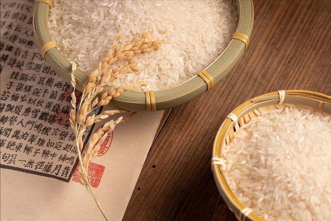 全国十大优质大米产区：从五常到东海，品味各地稻香
