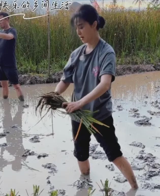 43岁范冰冰现状：在国外庄稼地插秧，为新电影狂增肥学外语