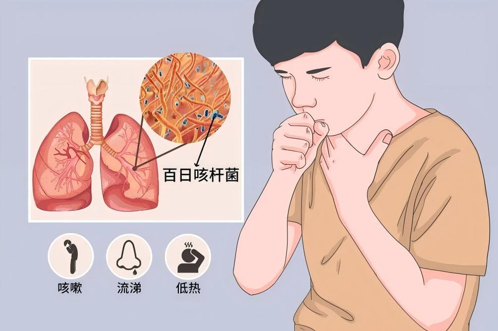 重要提醒！百白破疫苗免疫程序有调整，宝爸宝妈请关注