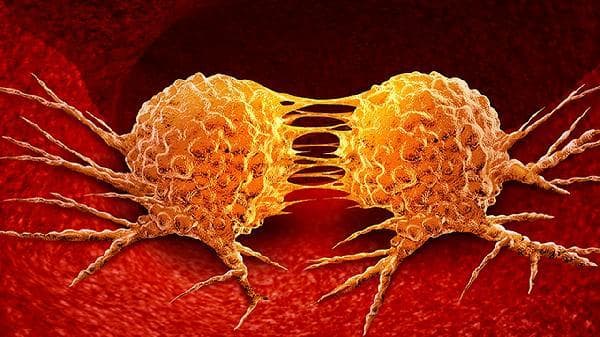 细菌感染性腹泻：传染途径、症状与预防全解析