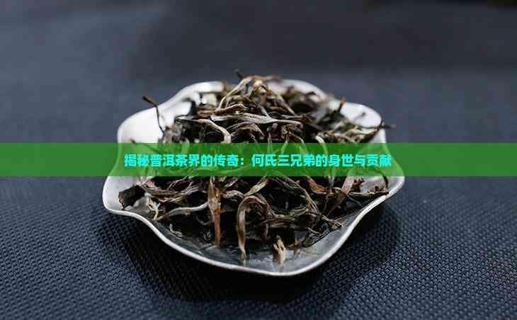 揭秘普洱茶界的传奇：何氏三兄弟的身世与贡献