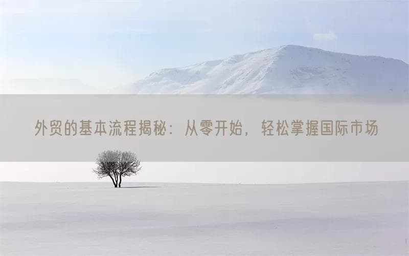 外贸全流程指南：从市场调研到售后服务