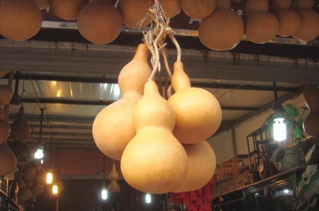 “葫芦虽小藏天地”，为何葫芦文化，被誉为我国文化的一种载体？