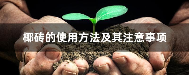 椰砖的使用方法及其注意事项