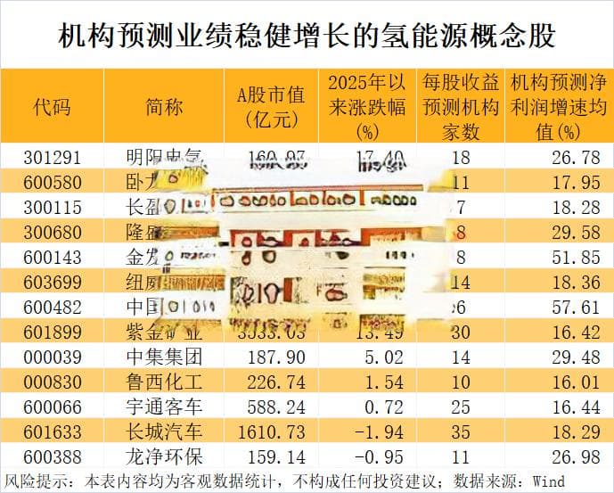 复旦大学团队突破氢能技术瓶颈，绿氢产业迎来发展新机遇