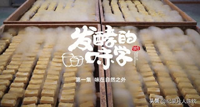 《发酵的味学》：探寻全球“臭名远扬”的美食魔力