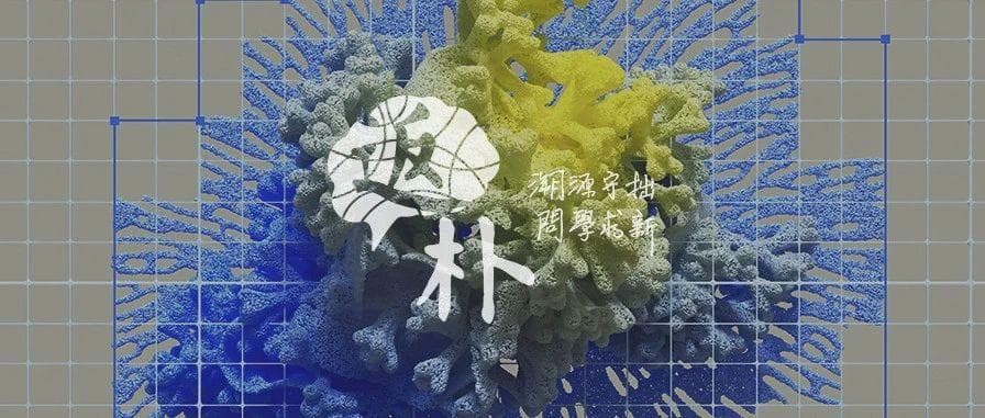 生命演化偏爱单一手性：为何蛋白质几乎都是“左撇子”？