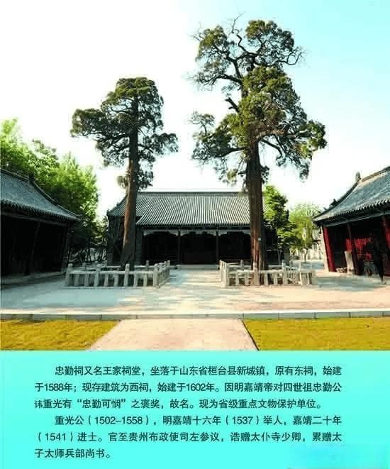 明清时期的新城王氏家族