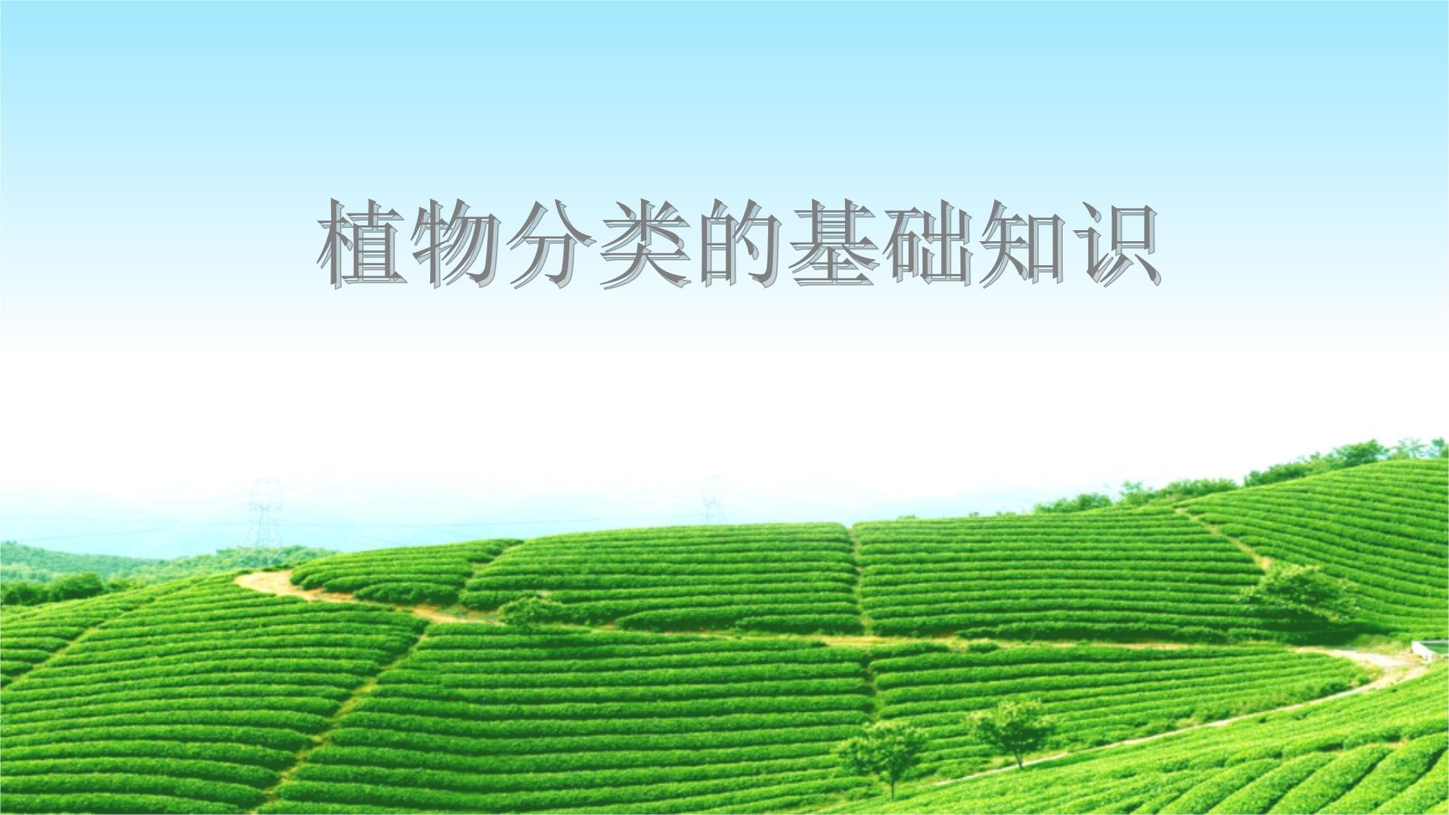 植物分类的基础知识