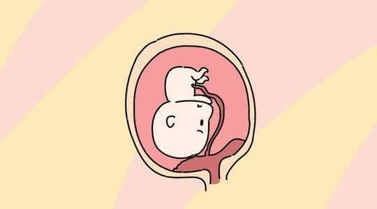 维生素D缺乏，对试管婴儿有什么影响？