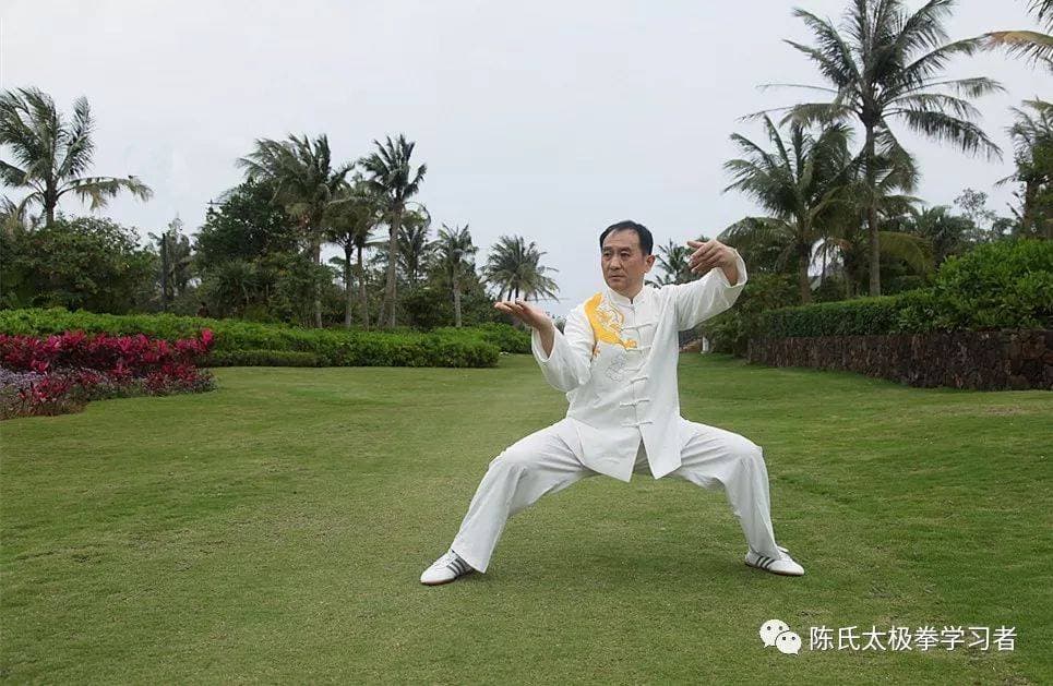 太极拳内外三合之精要