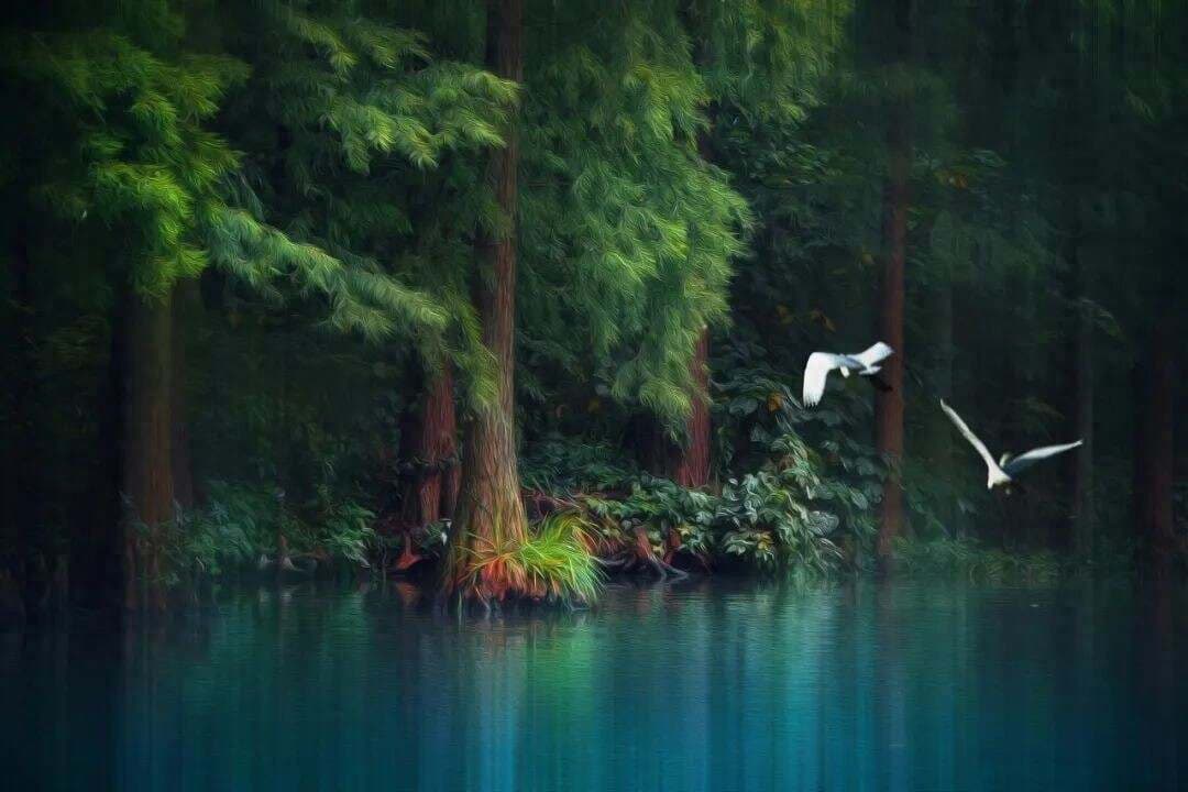 孔子最经典的10句话，影响中国千年，每一句都可以做座右铭