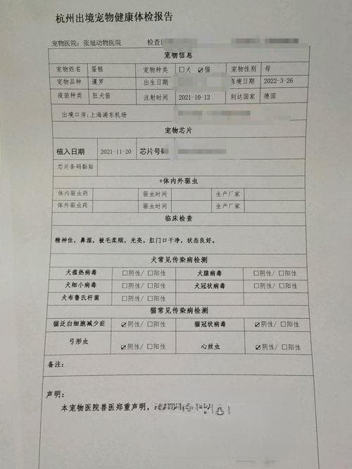 宠物运输手续须知