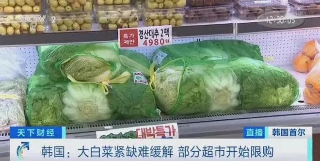 白菜限购！80元一棵！韩国陷“白菜荒”，什么情况？