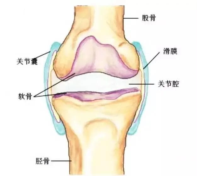 滑膜炎？膝关节病？保护膝关节从习惯开始！