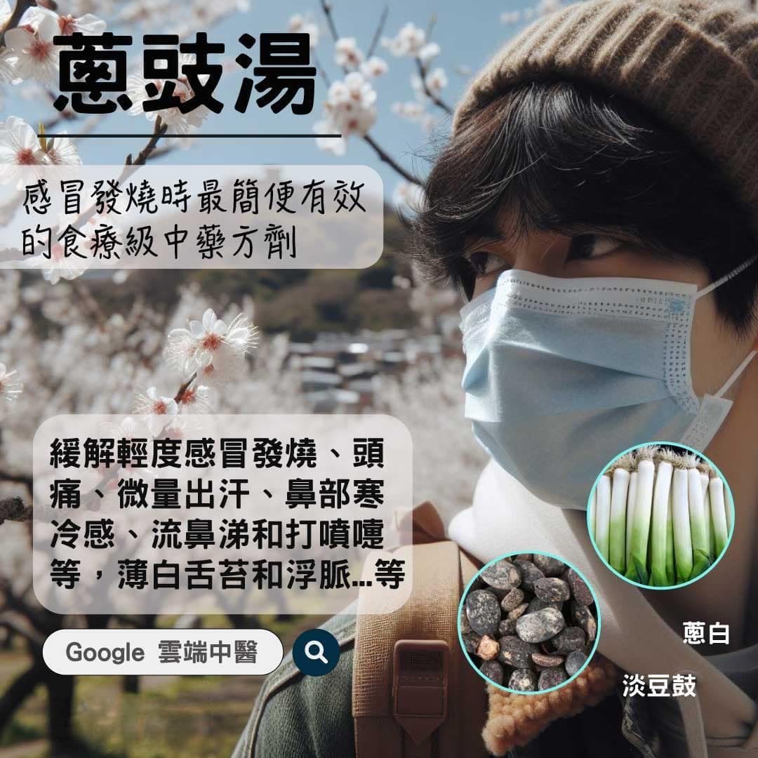 蔥豉湯：传统中医方剂详解