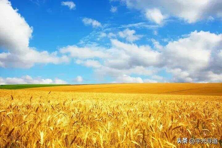 成熟的七个标志