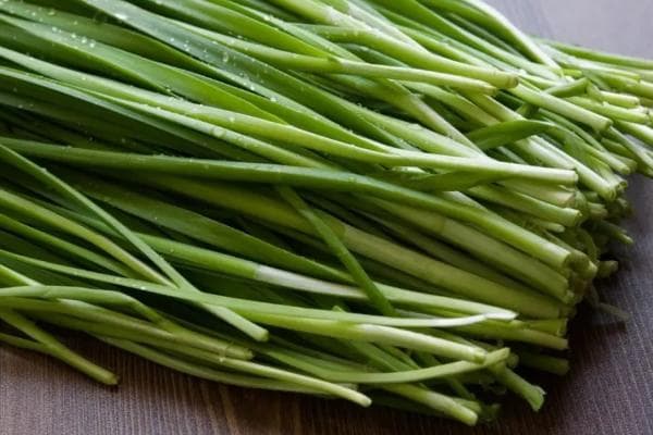高叶黄素的10种食物