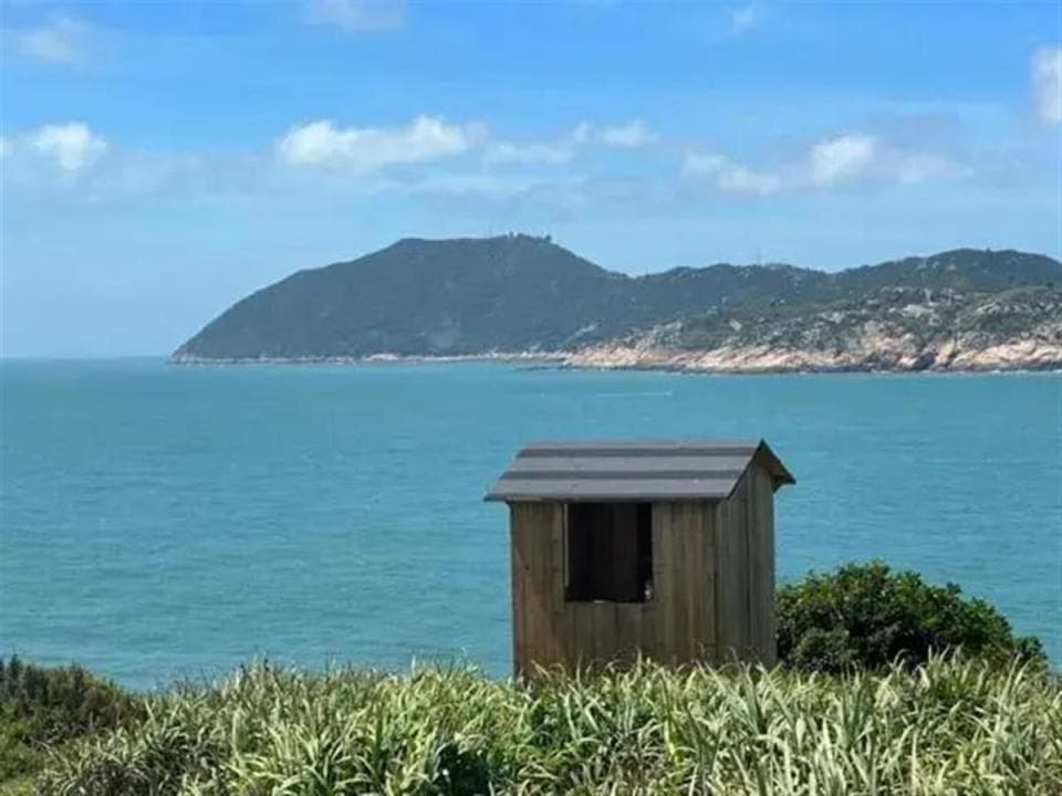 11位“守鸟人”应聘成功，让大自然富有诗意就是值得的