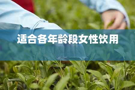 适合各年龄段女性饮用的保健茶推荐