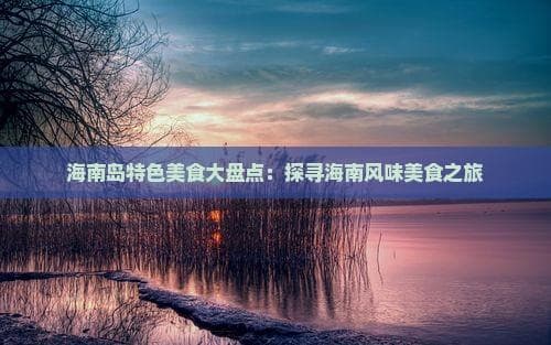 海南岛特色美食大盘点：探寻海南风味美食之旅