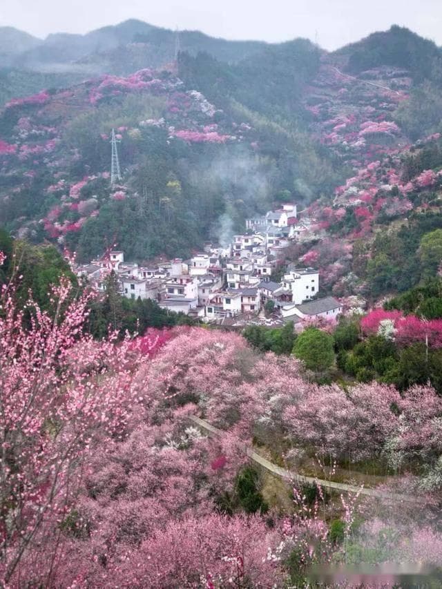 二月最佳旅行地揭晓！6座城市，带你开启早春浪漫之旅！
