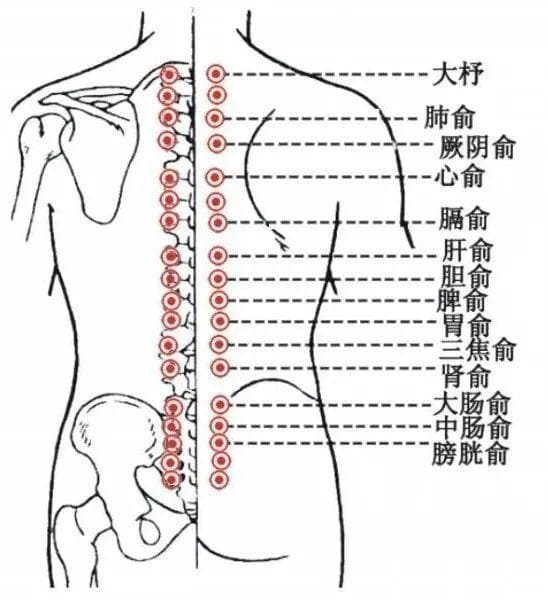 常按这四个养脾穴，消化好了、气血足了，疾病都少了！